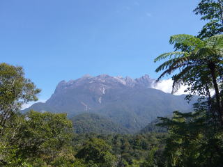 公園本部から見るキナバル山